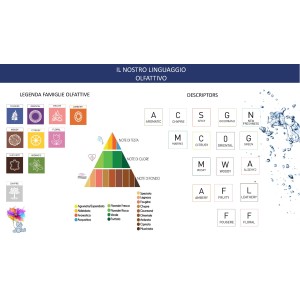 Card Profumata Multiuso -... 2